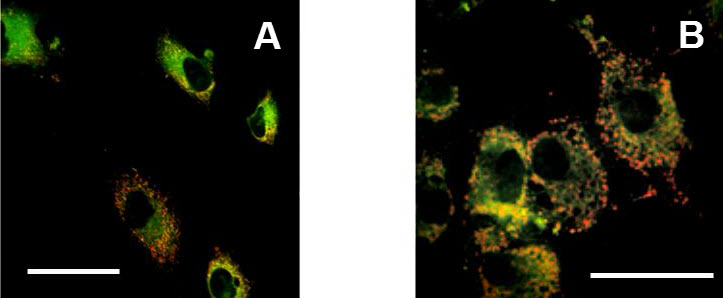 An external file that holds a picture, illustration, etc., usually as some form of binary object. The name of referred object is rmmj-3-2-e0013_Figure6.jpg